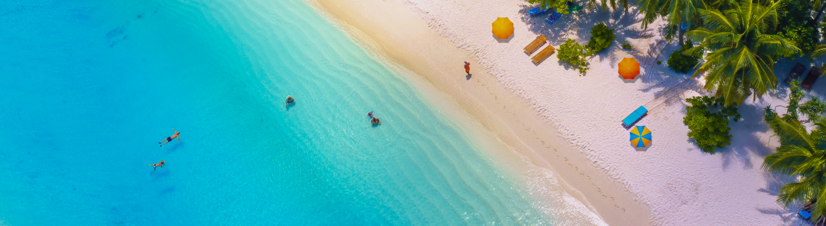 Быстрый старт