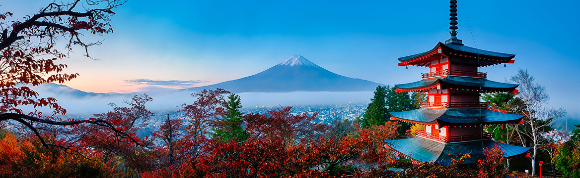 Новые партнеры на платформе!